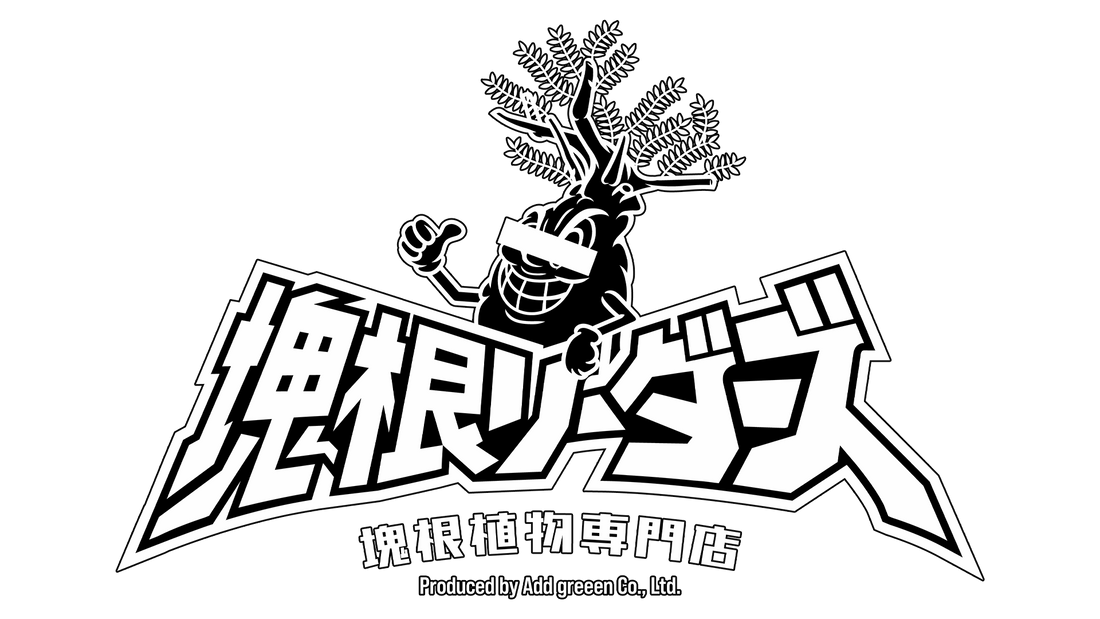 塊根リーダーズより、新年のご挨拶とお知らせ