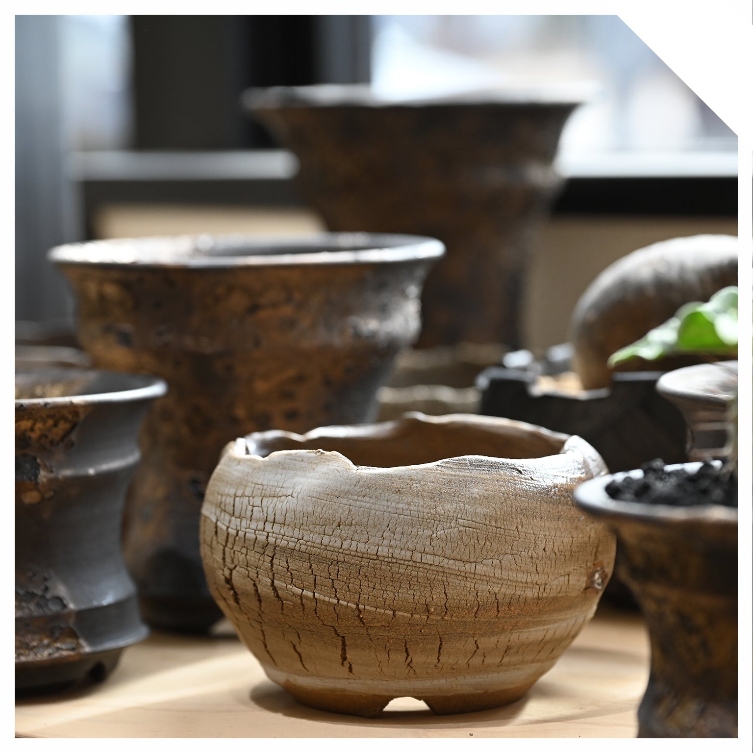POTS