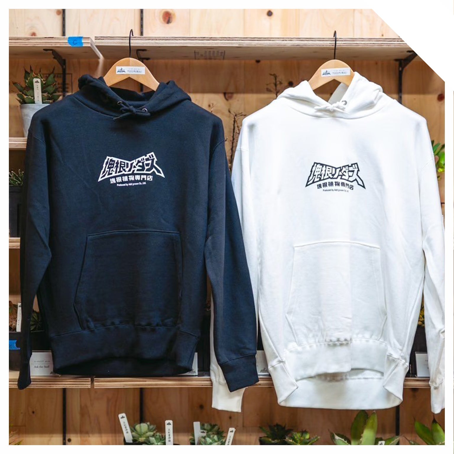 GOODS